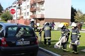 vaja clanice