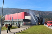 vaja